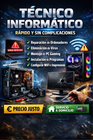 Técnico informático