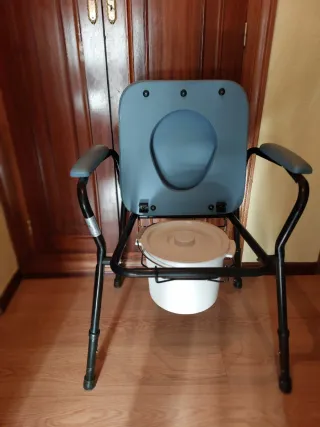 Silla inodoro WC azul y gris