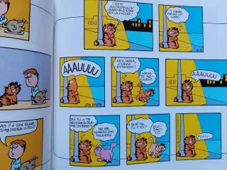 Las locas historias de Garfield