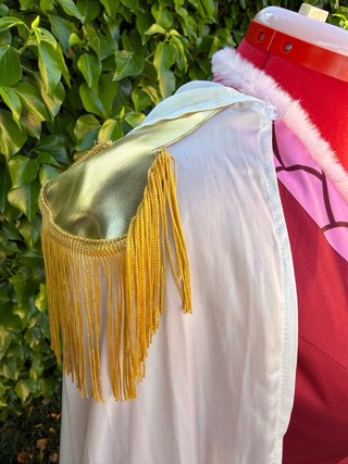 Cosplay Boa Hancock Miccostumes + Peluca