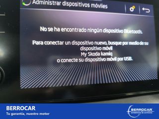 Skoda Kamiq 1.0 TSI 81kW (110CV) Ambition