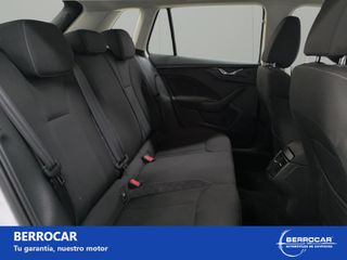 Skoda Kamiq 1.0 TSI 81kW (110CV) Ambition