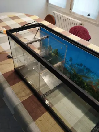 Gran pecera 80x31x40