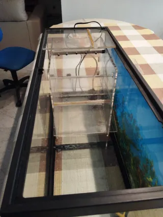 Gran pecera 80x31x40