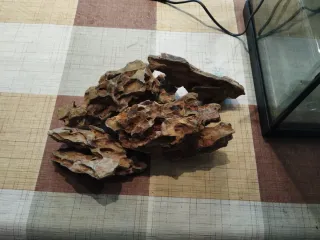 Gran pecera 80x31x40