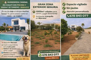 Guarderia canina. Cuidado de perros