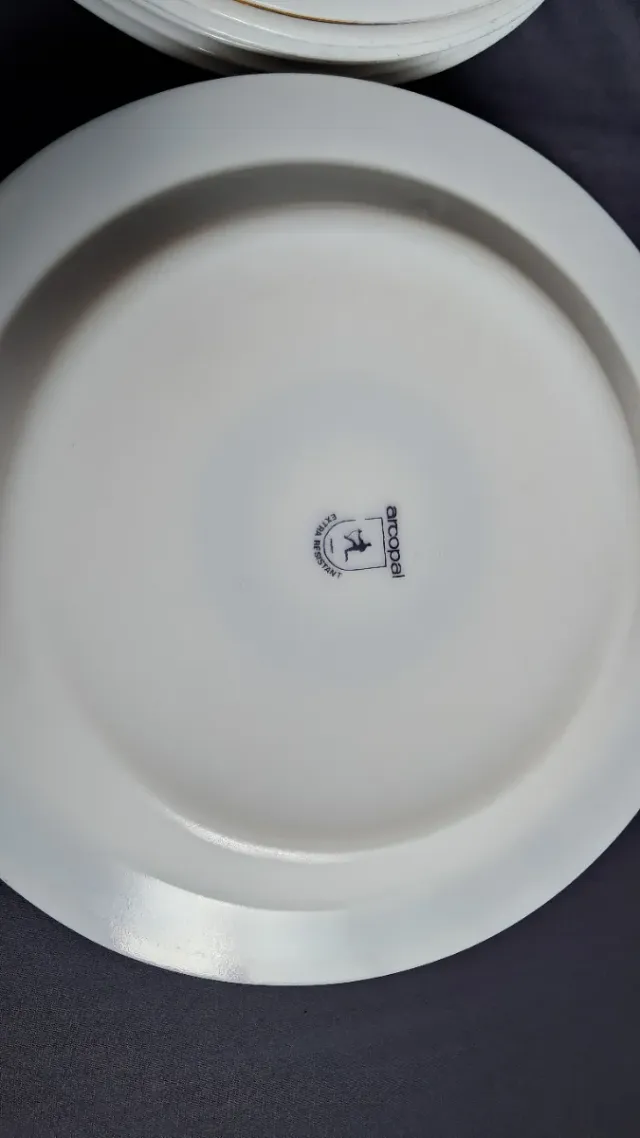 Platos Arcopal Vidrio Templado