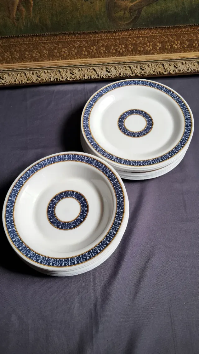 Platos Arcopal Vidrio Templado