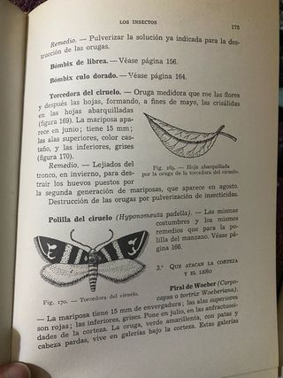 Delplace./ Arboricultura frutal