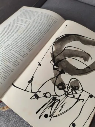 DON QUIJOTE DE LA MANCHA