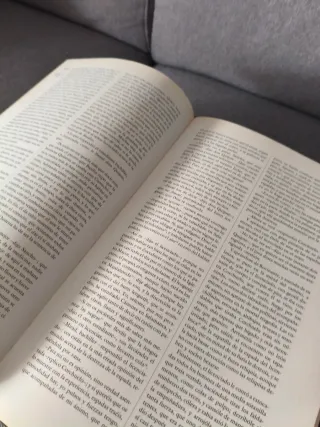 DON QUIJOTE DE LA MANCHA