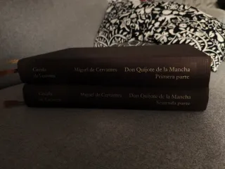 DON QUIJOTE DE LA MANCHA