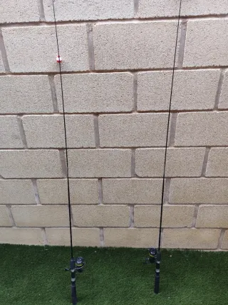 Juego de dos Cañas de pescar con carrete