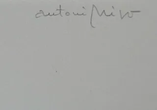 Coleccion  35 Aiguaforts  Antoni Miró