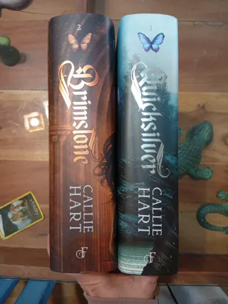 Quicksilver - Saga Alquimia & Fae vol. 1 (prime...