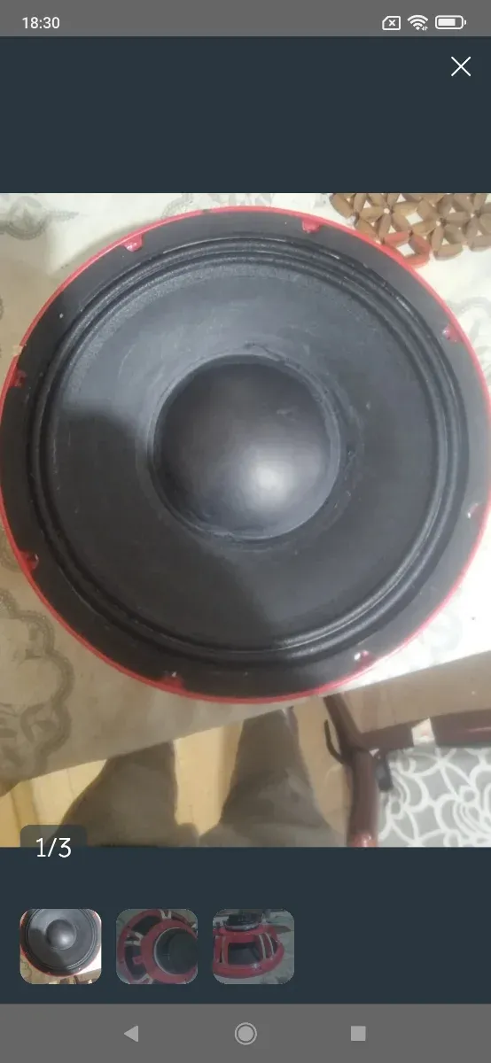 Altavoz 10" neodimio