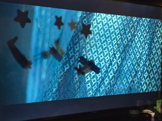 TV LG 65 Smart TV LED con garantía fisica