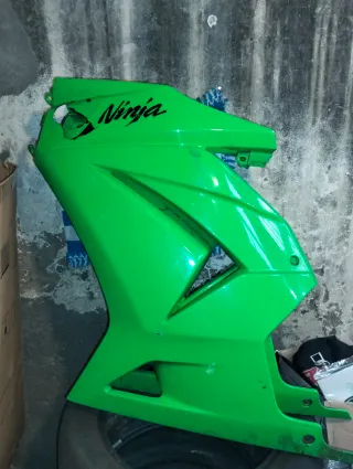 Carenado Kawasaki Ninja 250 Verde