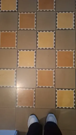 Baldosas hidráulicas