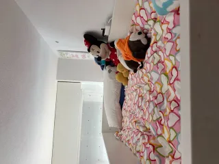 Cama alta con escritorio y estanterías