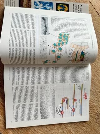 Revistas monograficas de Investigacion y Ciencia