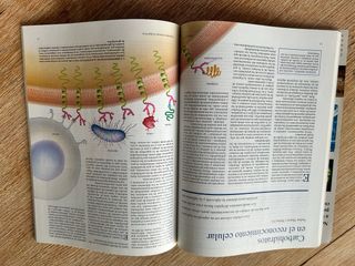 Revistas monograficas de Investigacion y Ciencia