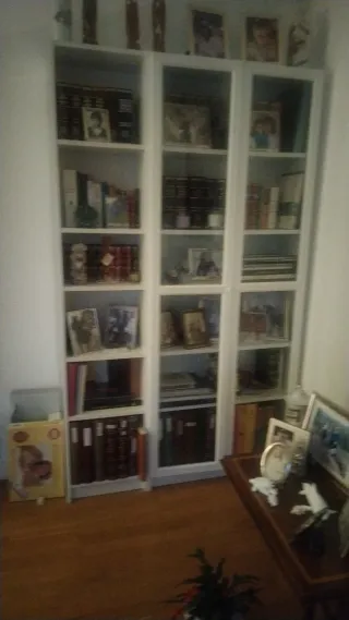 Estantería de madera y cristal