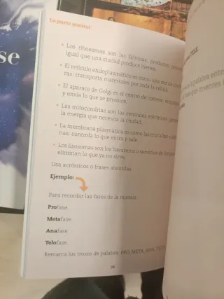 Domina bachillerato. Las 5 reglas para estudiar...