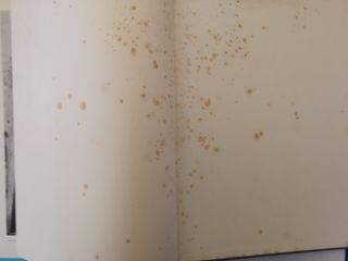 Edificios Hospitalarios en Europa durante diez sig