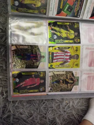 Cromos Panini Adrenalyn XL 25-26