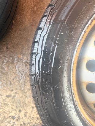 Ruedas Renault Trafic Opel Vivaro 195/65/R16C