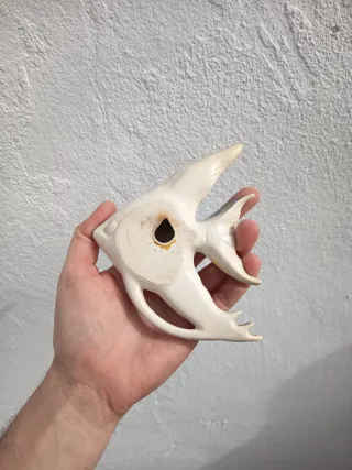 Pez decorativo japonés