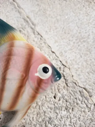 Pez decorativo japonés