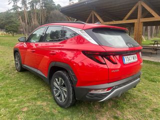 Hyundai Tucson 1.6 TGDI 48v Maxx 150cv
