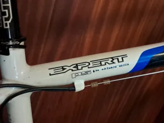 Bicicleta BH Expert