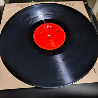 Julio Iglesias - Raices Vinilo LP