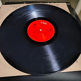 Julio Iglesias - Raices Vinilo LP