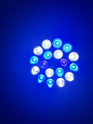 Lámpara LED CREE para acuario marino