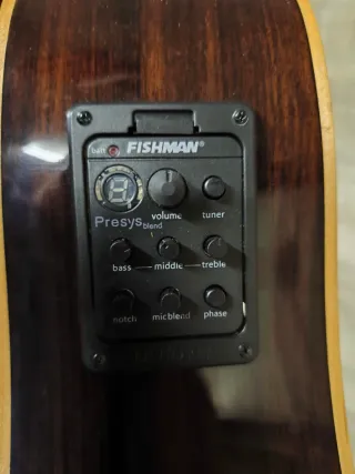 guitarra electrica y electroacustica