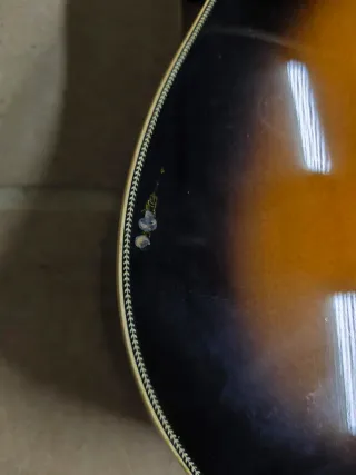 guitarra electrica y electroacustica