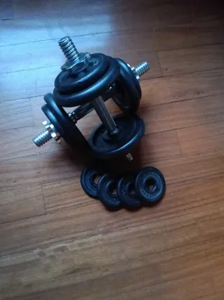 Manubri regolabili con dischi