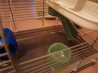 Jaula Hámster con Accesorios