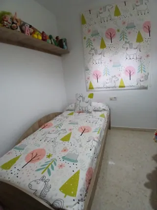 Edredón cama nido ajustable 90x190+estor +cuadros