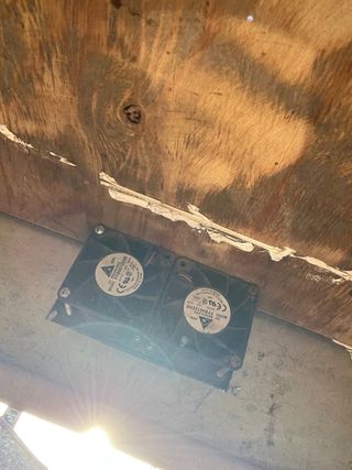 Remolque para perros