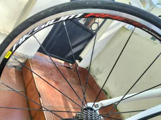 Goka Edition II Carbono – Shimano Ultegra – Mavic