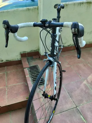 Goka Edition II Carbono – Shimano Ultegra – Mavic