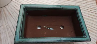 Maceta de cerámica para bonsái