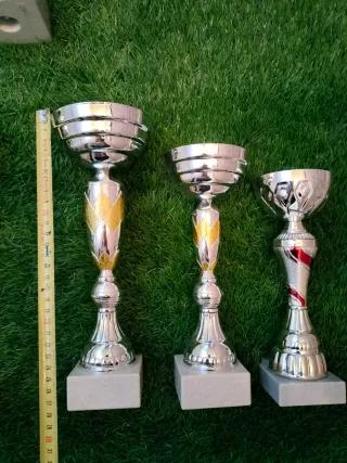 Trofeo deportivo plateado y dorado