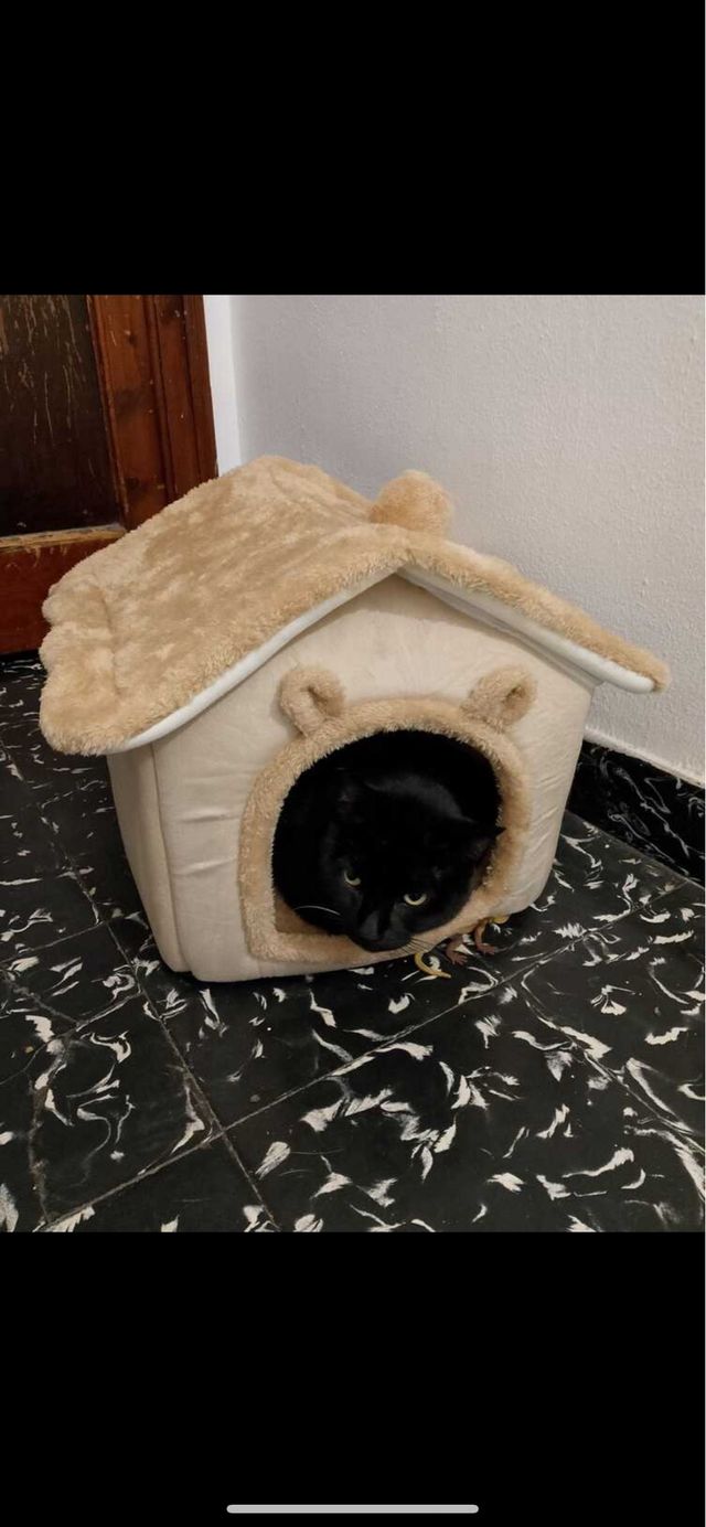 Casa para gato/perro pequeña
