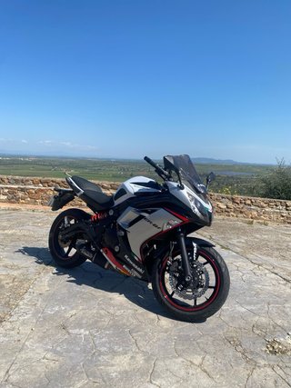 Kawasaki ER-6F Sportbike Negra/Plata